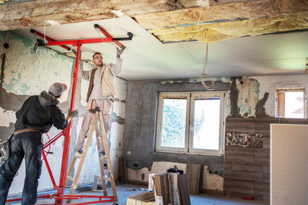 Best Geographic-Specific Insulation Services in Choteau, MT