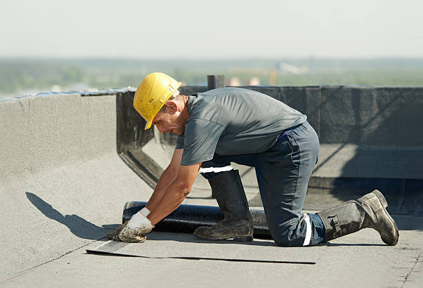 Best Eco-Friendly Insulation in Choteau, MT