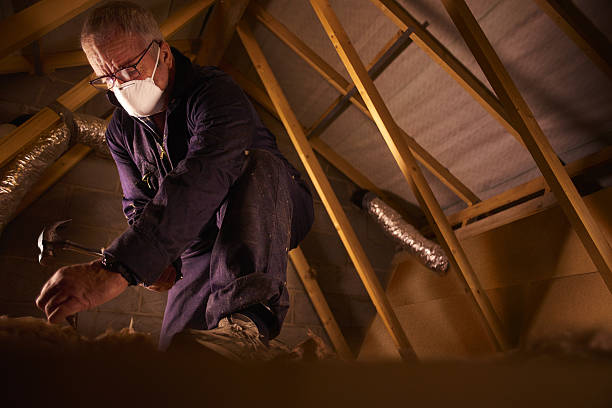 Best Cellulose Insulation in Choteau, MT